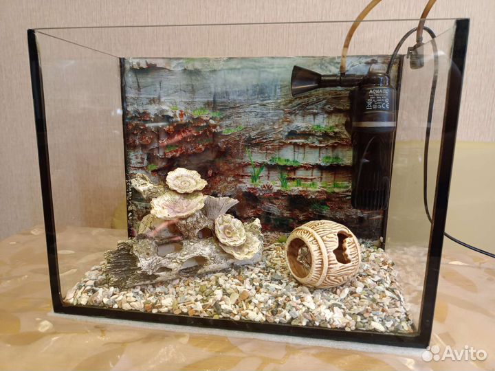 Аквариум
