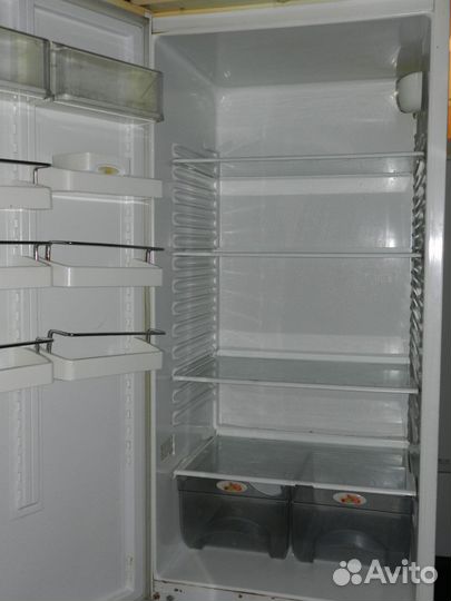 Реальный Атлант 2 метра с гарантией доставка