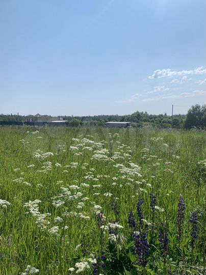 Участок 30 сот. (ИЖС)