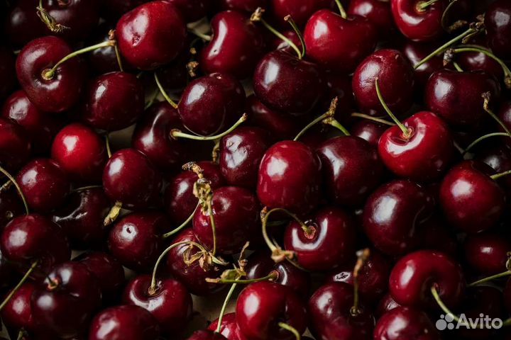 Арбуз. Дыня торпеда. Фрукты. Есть доставка