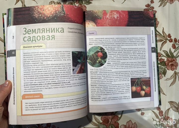 Книга иллюстрированная энциклопедия дачника