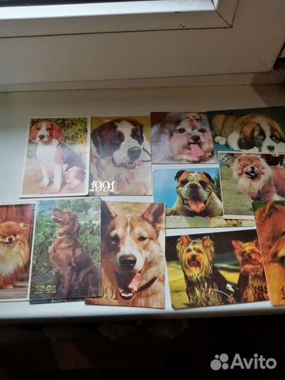 Календари с собаками