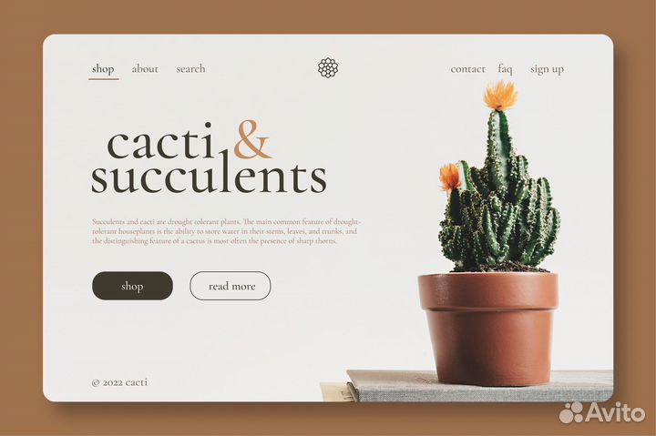 Графический дизайнер