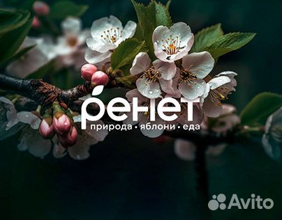 Менеджер ресторана