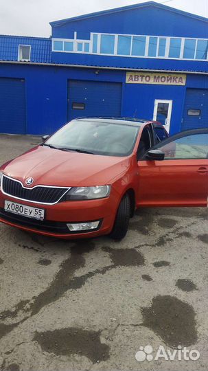 Водитель с личным легковым автомобилем шкода рапид