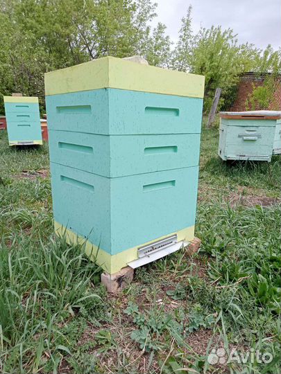 Улья ппу дадан 12 рамочные