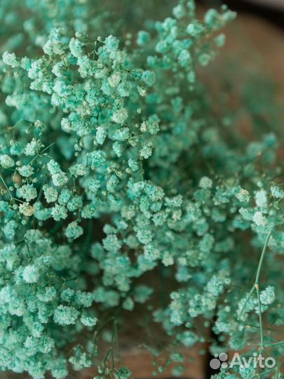 Сухоцветы хлопок букет