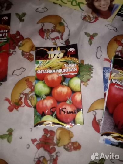 Рассада помидор