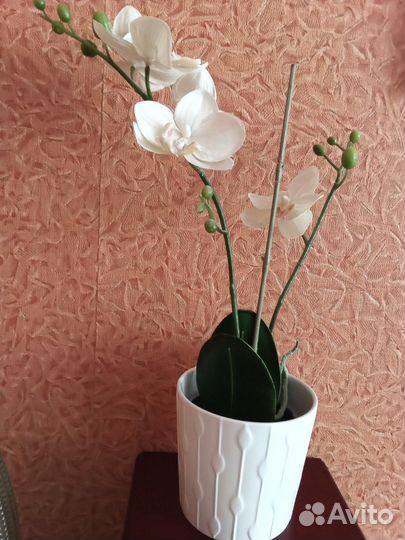 Кашпо IKEA и Фейка Орхидея искусственное растение