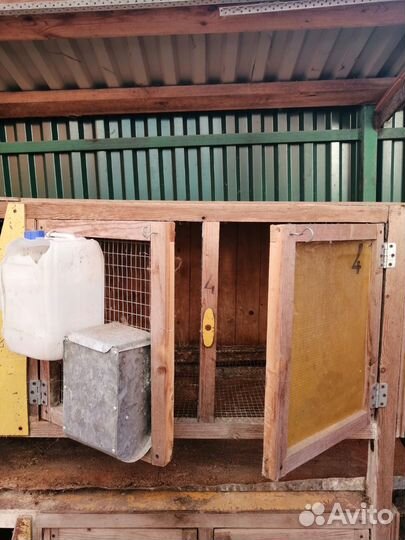 Клетки для кроликов, цена за всё
