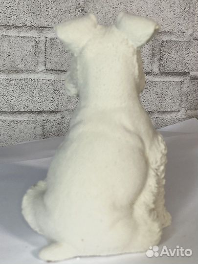 Цвергшнауцер