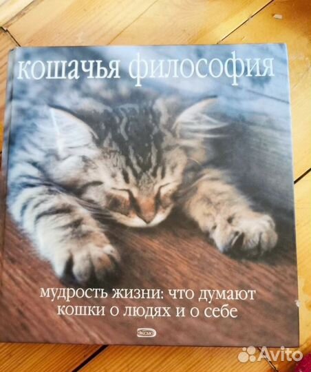 Кошачья философия