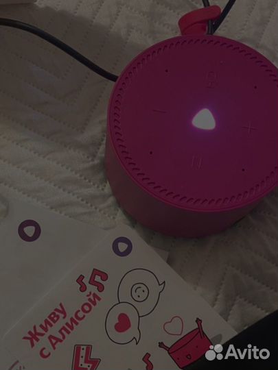 Яндекс алиса lite