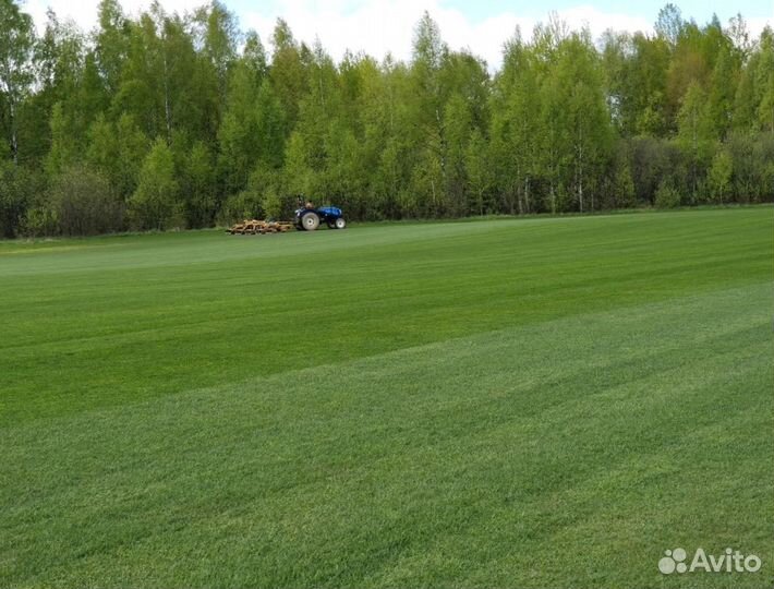 Рулонный газон