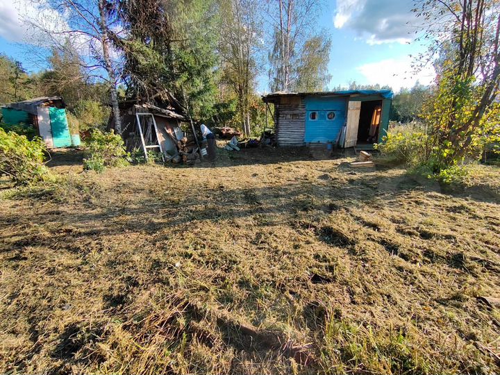 Участок 10,9 сот. (СНТ, ДНП)