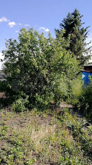 Участок 5,2 сот. (СНТ, ДНП)