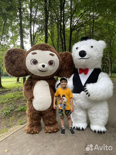 Ростовой Медведь умка и Чебурашка Москва