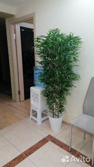 Искусственное дерево бамбук