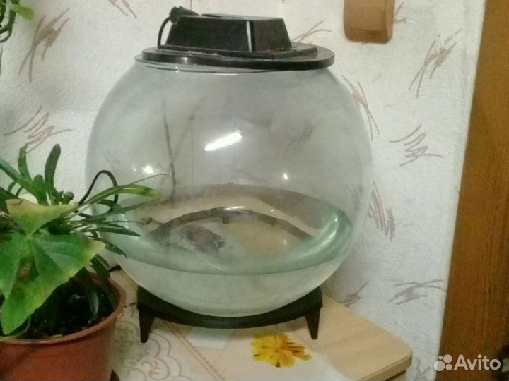 Аквариум круглый стеклянный
