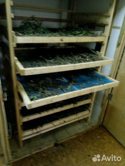 Инкубатор собственного производства на 2000 яиц