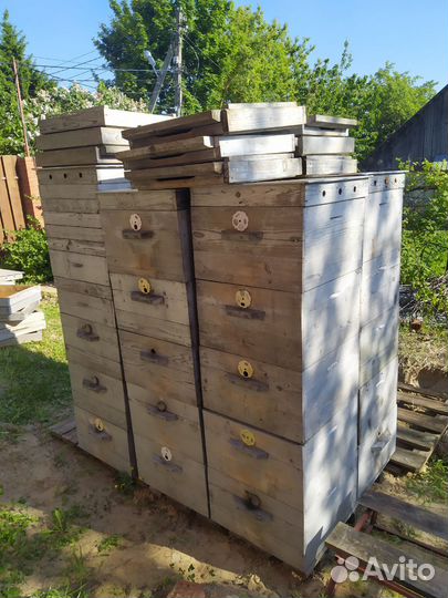 Улей дадан на 12 рамок