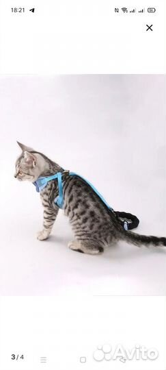 Шлейка поводок для кошки