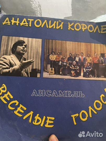 Виниловые пластинки высоцкого