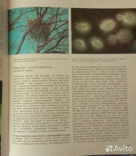 Книга Растительный мир земли, 1 часть