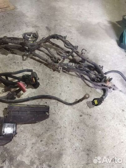 Проводка двигателя Шевроле Лачетти