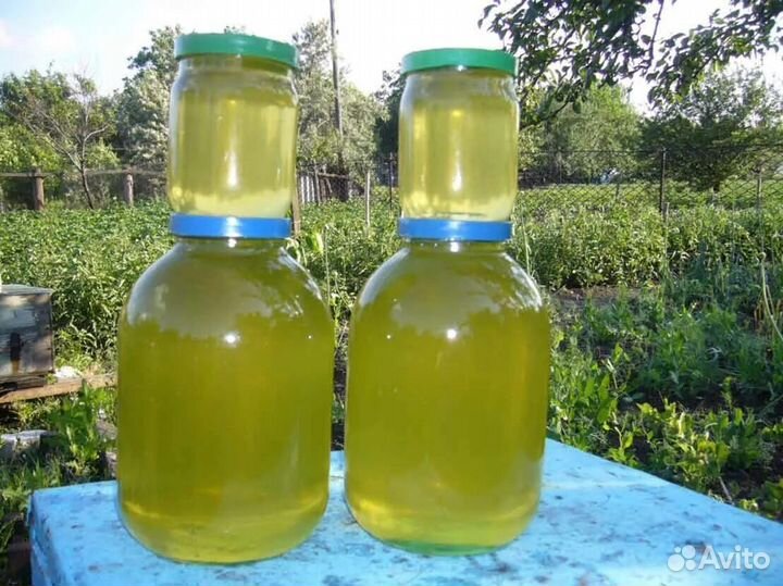 Мед белой акации 2024г