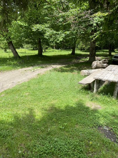 Участок 50 сот. (ИЖС)