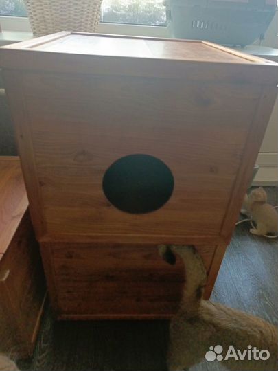 Ящик родовой для кошки