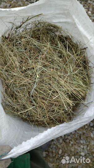 Сено в мешках для коз, кроликов, домашних грызунов