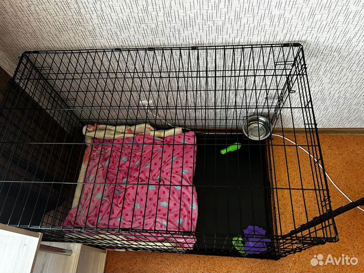 Вольер для собак