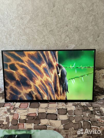 Телевизор LG 49UJ620V UHD