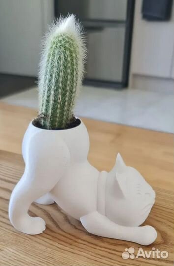 Кашпо горшок для кактуса
