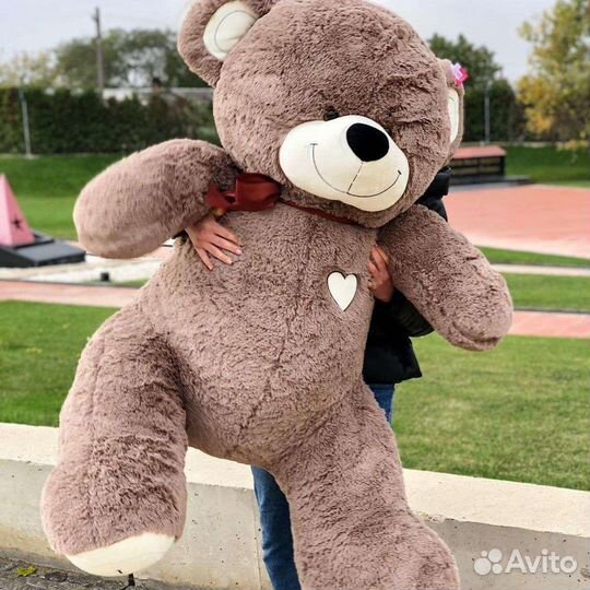 Большой мишка