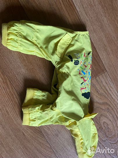 Одежда для мини йорка