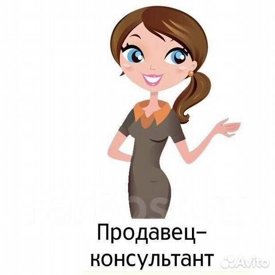 Продавец консультант