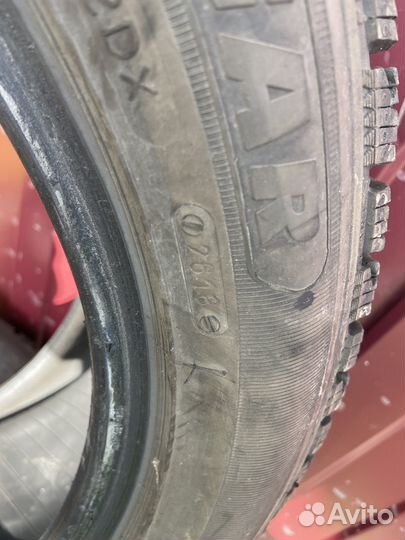 Tigar Winter 205/55 R17 95V