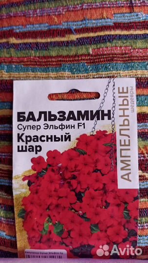 Бальзамин ампельный