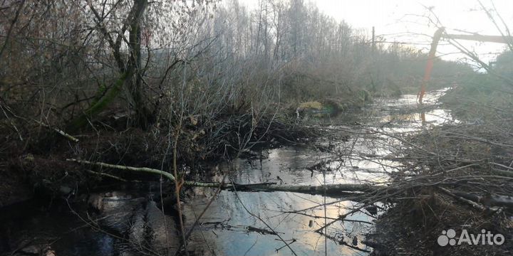 Расчистка прудов,русла рек,донных отложений