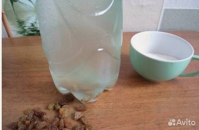 Квас берёзовый