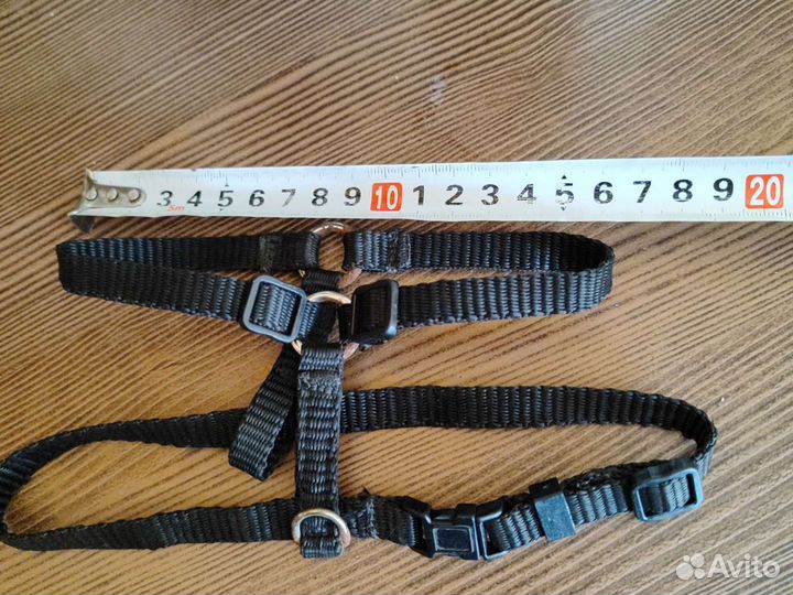 Шлейка для маленькой собаки