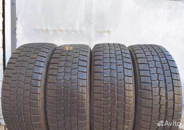 Dunlop Winter Maxx WM01 205/45 R17 101V