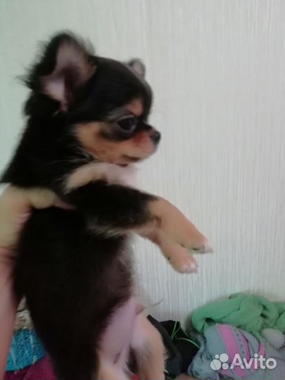 Супер мини паренек