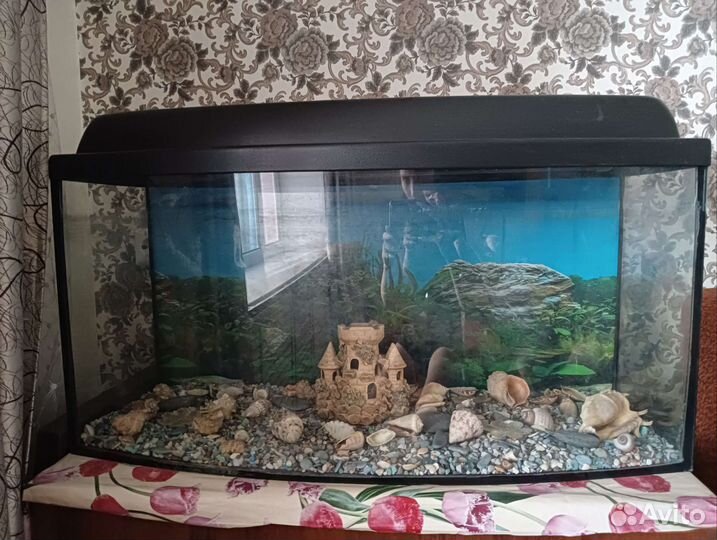 Аквариум