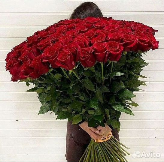 Высокие розы Гигантские розы с доставкой