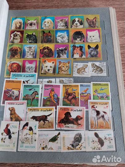 Альбом марки (коллекция)