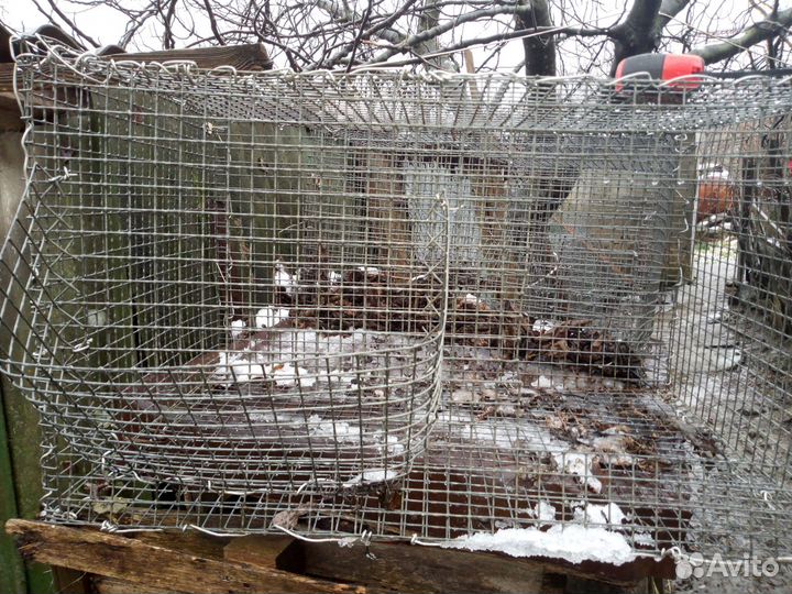 Клетка для кролика, кур, перепелов